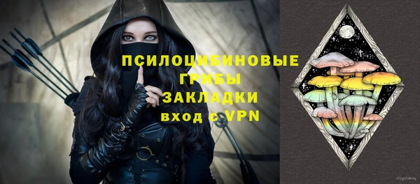 трава Арсеньев